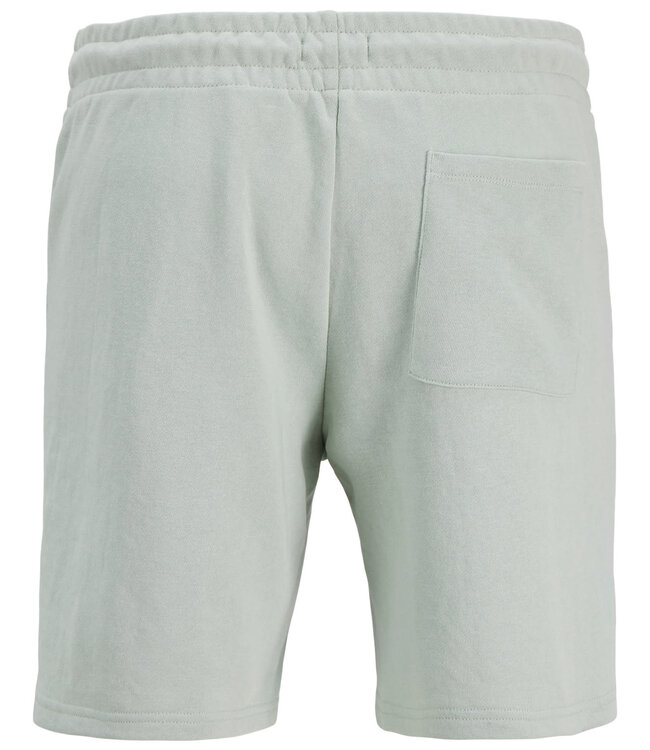 JJ REBEL Short GORM JJ REBEL AQUA GRAY