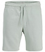 JJ REBEL Short GORM JJ REBEL AQUA GRAY