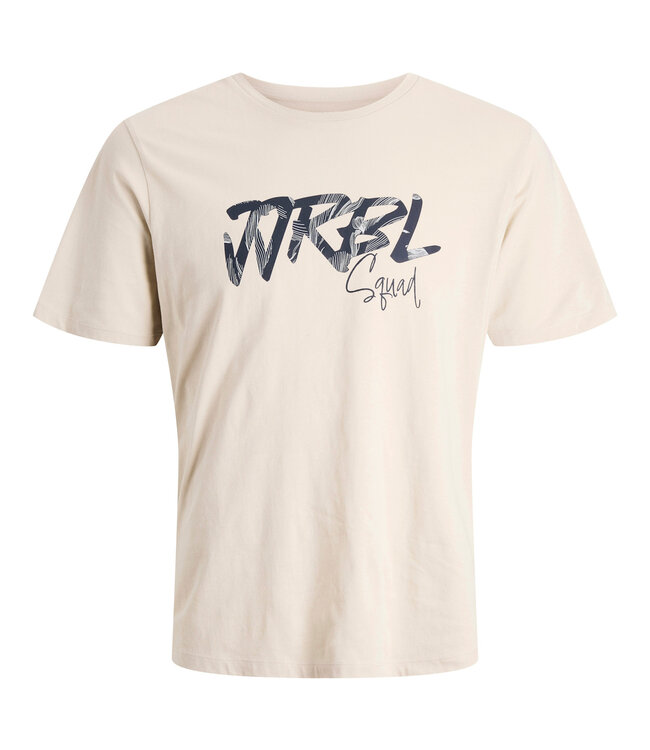 JJ REBEL T-Shirt BERN BOX PRINT REBEL MOONBEAM