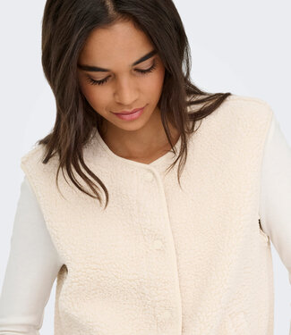JDY Waistcoat SIMINA TEDDY JDY PUMICE STONE