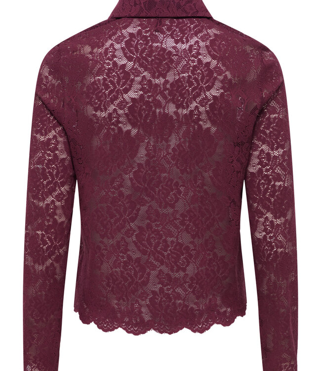 ONLY Hemdje LIDA LACE POLO ONLY FIG