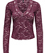 ONLY T-Shirt NIKKA LACE ONLY FIG