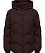JDY Jas POWER SHORT HOOD JDY CHOCOLATE