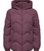 JDY Jas POWER SHORT HOOD JDY HUCKLEBERRY