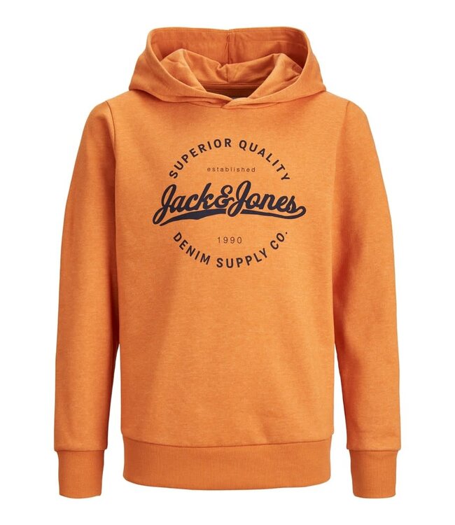 JACK & JONES KIDS Hoodie STANLI Jack & Jones DESERT SUN BIG