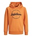JACK & JONES KIDS Hoodie STANLI Jack & Jones DESERT SUN BIG