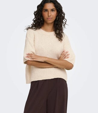 JDY Pull DICTE O-NECK JDY BIRCH