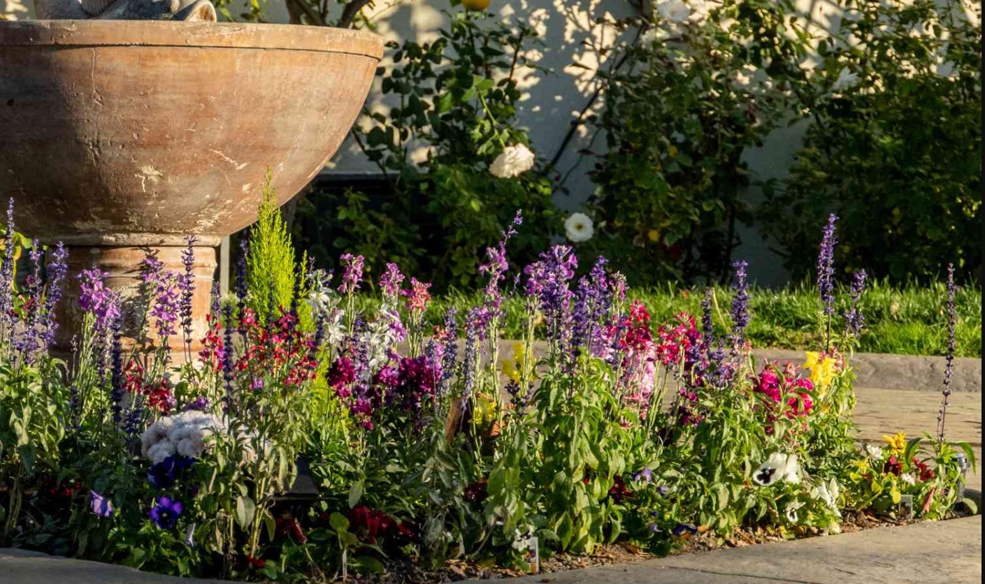 Groeipapier met bloemzaden
