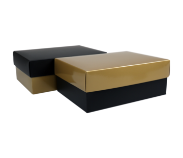 Specipack Geschenkdoos - karton -15x21x8cm - zwart/goud - 10 stuks