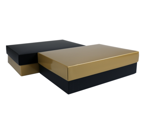 Specipack Geschenkdoos - karton -30x21x8cm - zwart/goud - 10 stuks