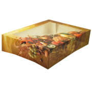 Specipack Cateringdoos - fruitdesign -33x26x7.5cm - met venster - 50 stuks