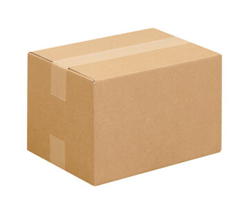 Specipack Amerikaanse vouwdoos enkele golf 320x220x200mm