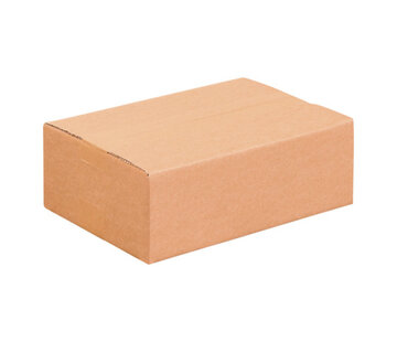 Specipack Amerikaanse vouwdoos enkele golf 394x294x88mm