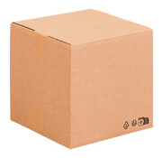 Specipack Amerikaanse vouwdoos enkele golf 350x350x350mm C-Golf