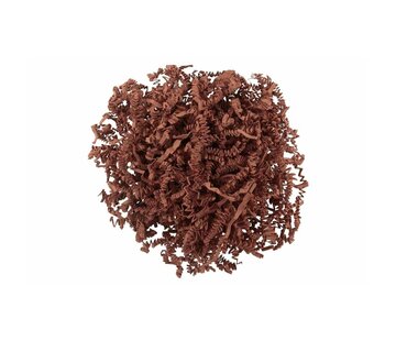 SizzlePak® Brown 10 kg - Gerecycled opvulmateriaal - Doos 60x40x40 cm
