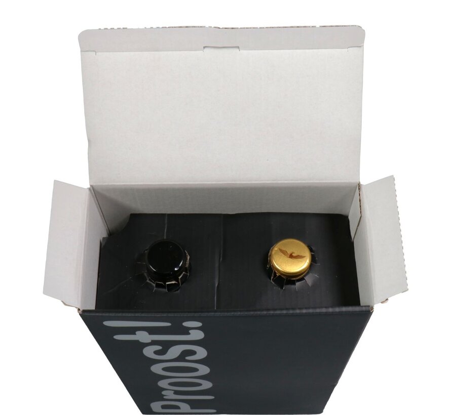 Luxe Flesdoos - 2 Flessen - Proost - 19 x 9,5 x 33 cm - Zwart / Zilver - Bundel met 10 dozen