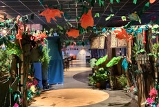 Creatief met verpakkingsmateriaal: Hoe opvulpapier een 8 meter lange jungle werd
