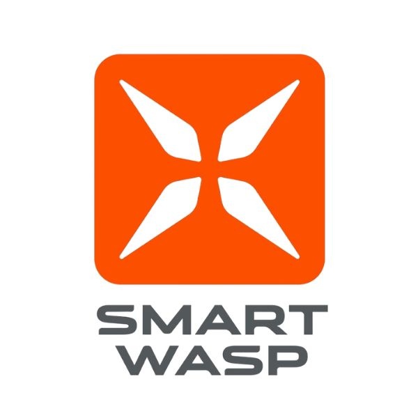 Smart Wasp Logo