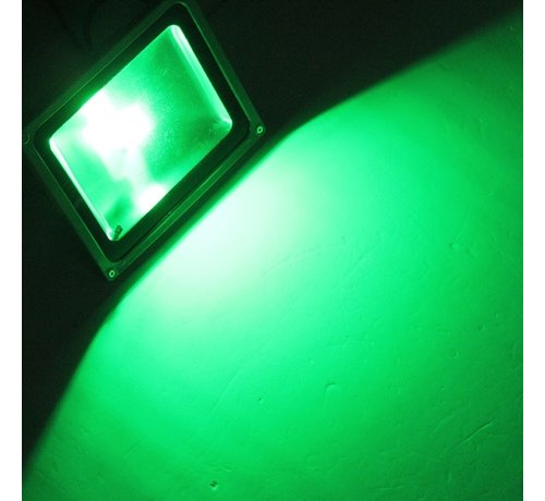 30W LED Beveiligingslamp Groen Licht
