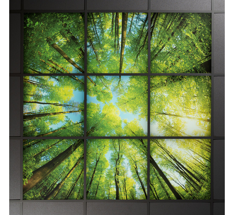 LED Wolkenplafond Acrylplaat 2mm - Set 6 Fotopanelen 3 x 2 Fotoplafond