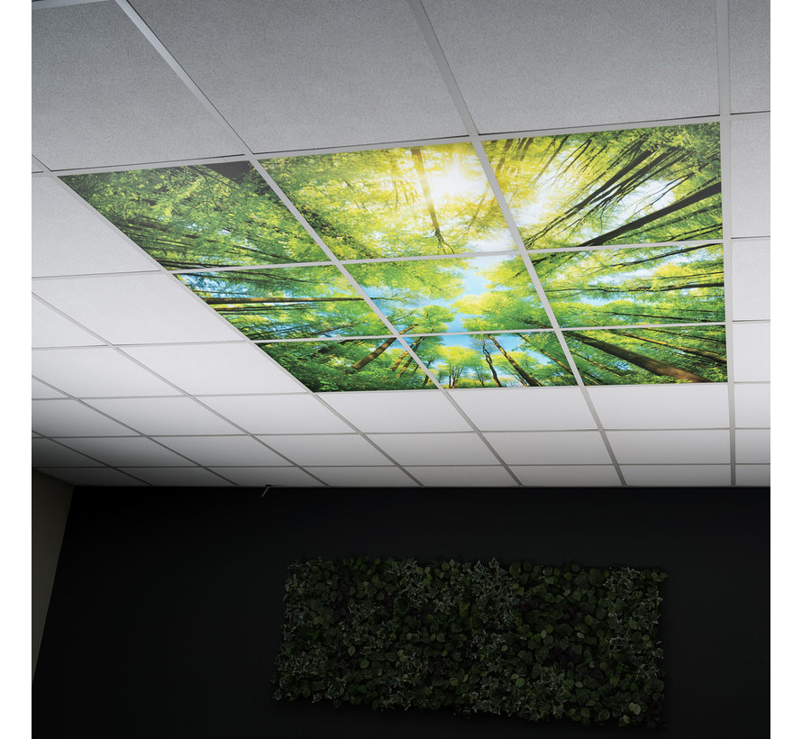 LED Wolkenplafond Acrylplaat 2mm - Set 6 Fotopanelen 3 x 2 Fotoplafond