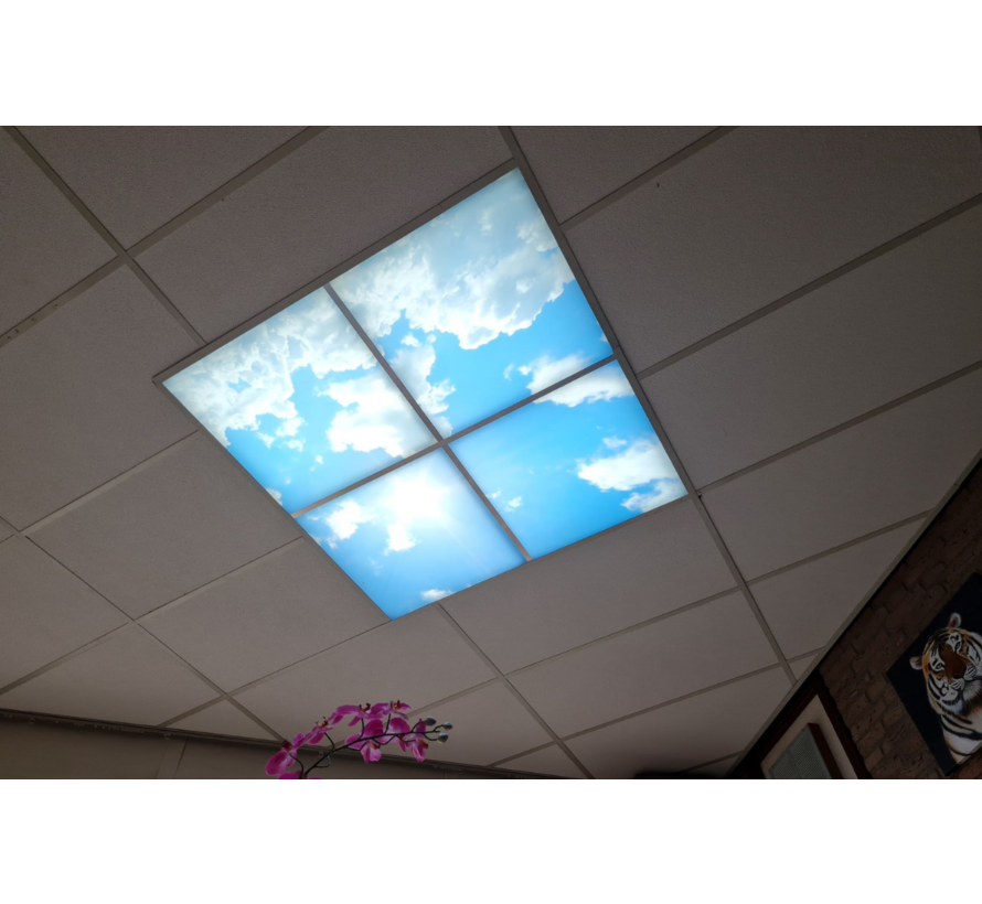 LED Wolkenplafond Acrylplaat 2mm - Set 6 Fotopanelen 3 x 2 Fotoplafond