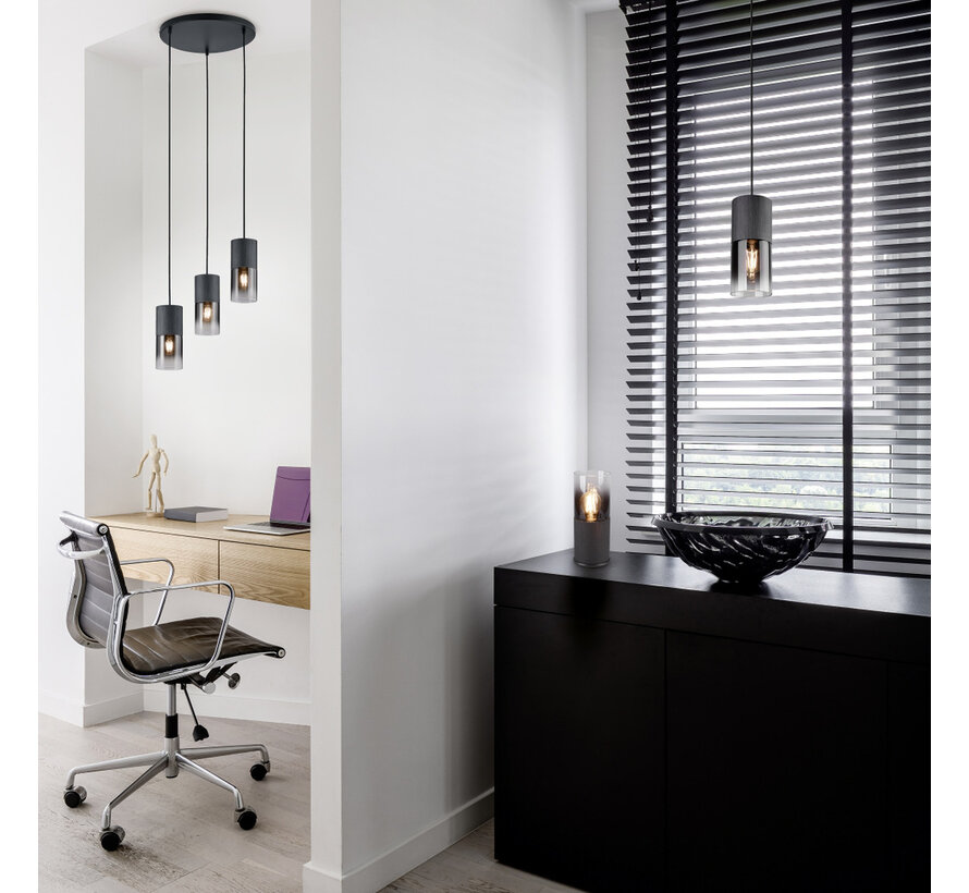TRIO Hanglamp ROBIN