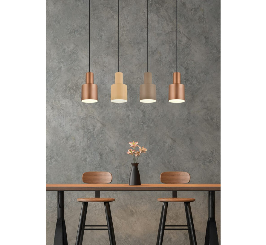 TRIO Hanglamp AGUDO