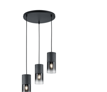 TRIO TRIO Hanglamp ROBIN