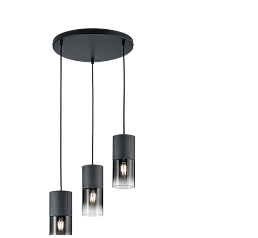 TRIO Hanglamp ROBIN