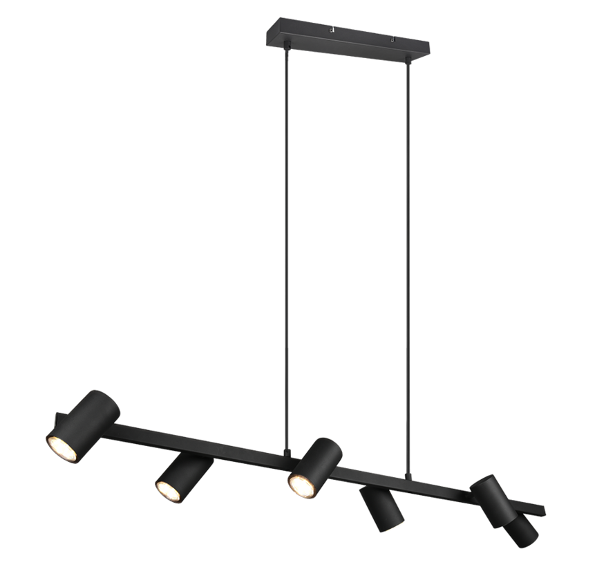 TRIO Hanglamp MARLEY