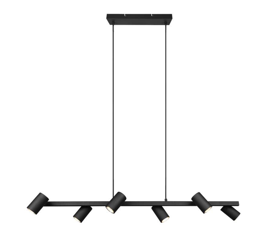 TRIO Hanglamp MARLEY