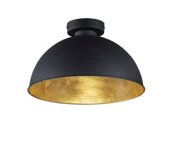 REALITY Trio Lighting Capri LED Wandlamp