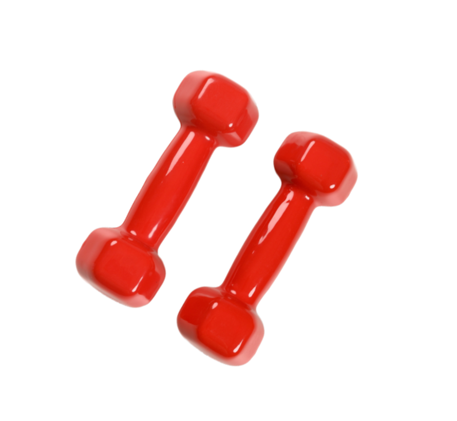 Dumbells 2 x 1 kg Gietijzer / Vinyl Coating