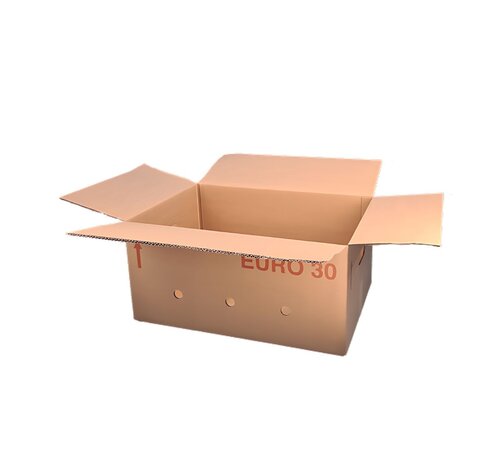 Ganze Eurobox 30 - 60 x 40 x 30 cm - Doppelwellig - Mit Griffen - Mit Löchern versehen