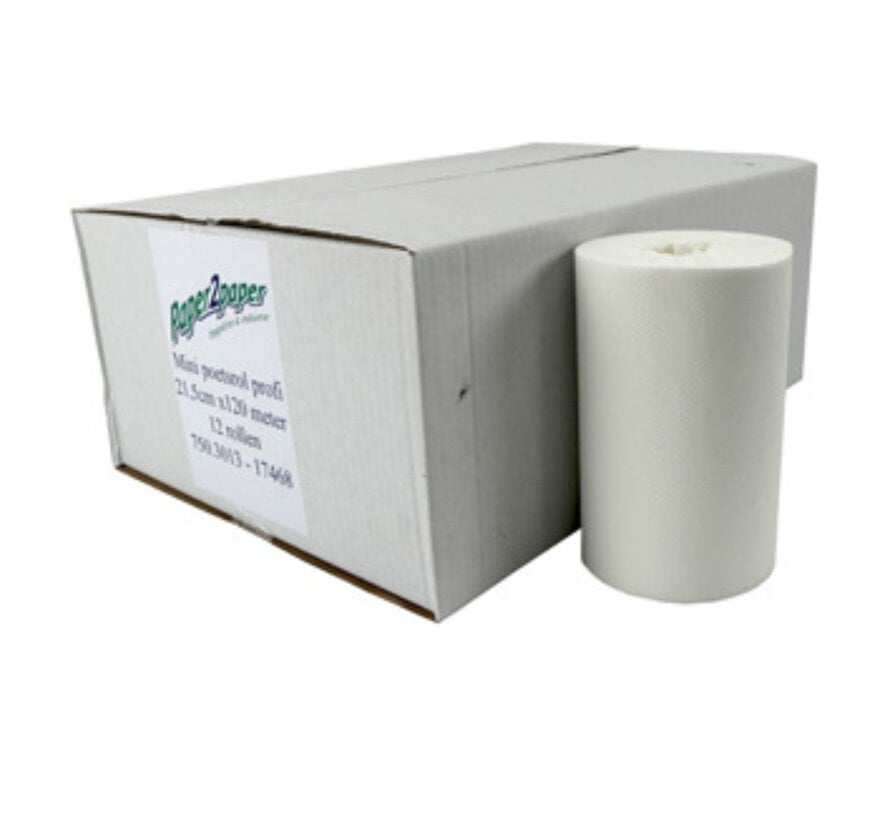 Putzrolle Mini – 20 cm x 120 Meter – Verpackung mit 12 Rollen