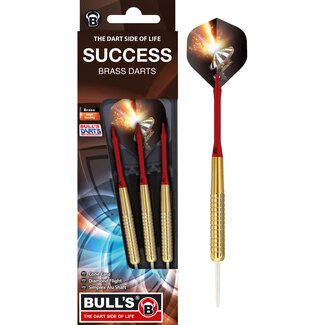 Bull's Germany Success Steel Darts - 22 gr
