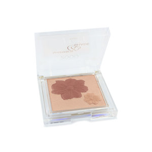 Shimmer & Shade Highlighter - 2 Golden & Gorgeous