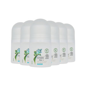 Powered By Plants Deo Roller Eucalyptus - 6 x 50 ml