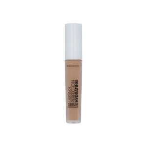 Lasting Perfection Hydrating Correcteur Liquide - 13 Praline