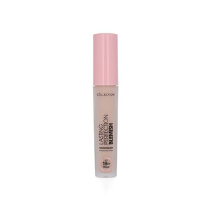 Lasting Perfection Blemish Vloeibare Concealer - 5 Fair