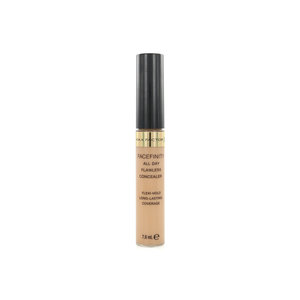 Facefinity All Day Flawless Concealer - 060