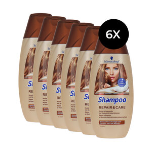 Repair & Care Shampoo - 6 x 250 ml