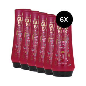 Gliss Kur Winter Repair Spülung - 6 x 200 ml