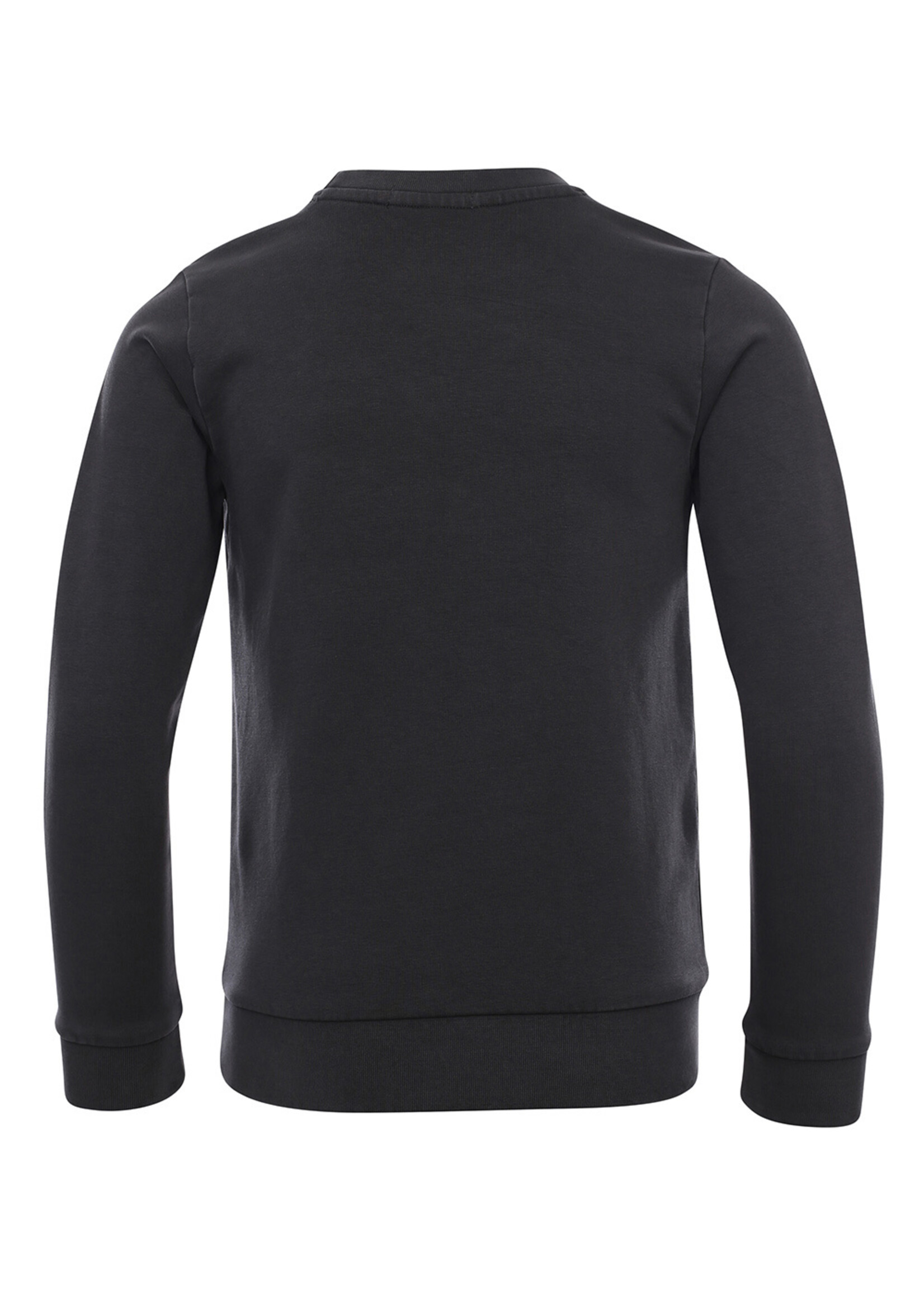 Common Heroes T-shirt l.m. antraciet Mountain