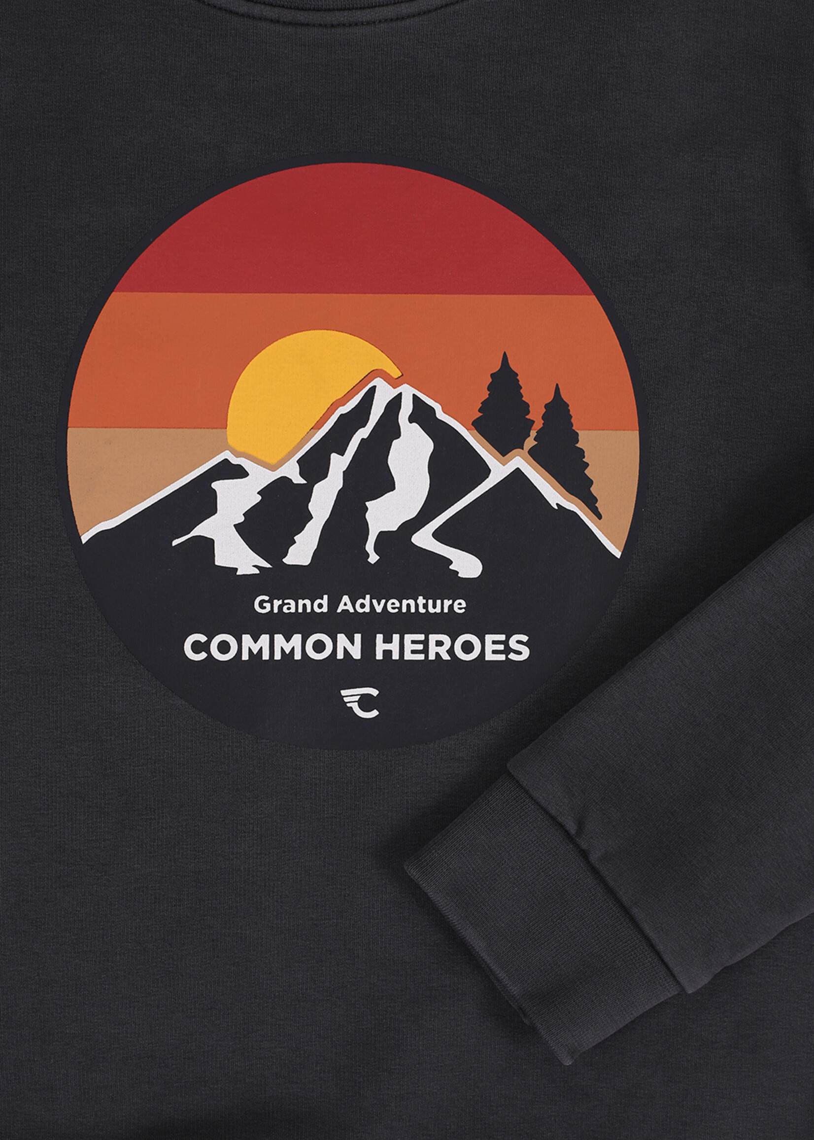 Common Heroes T-shirt l.m. antraciet Mountain