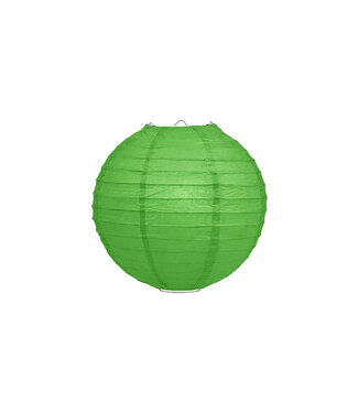 Lampionbox® Lampion Gras Groen 20cm