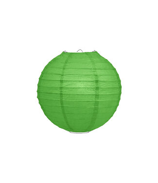Lampionbox® Lampion Gras Groen 25cm