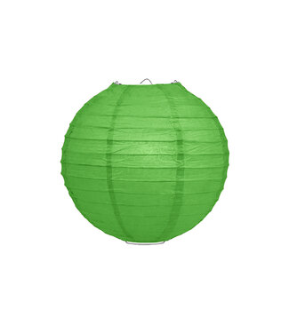 Lampionbox® Lampion Gras Groen 30cm