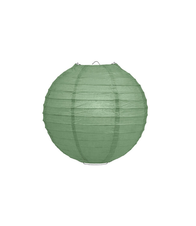 Lampion Saliegroen 25cm